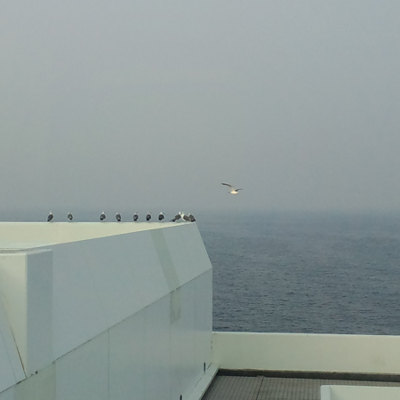 人はどうして悲しくなると海を見つめに来るのでしょうか